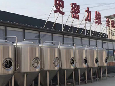 淮阴精酿啤酒设备厂—市场规模与跨界新需求